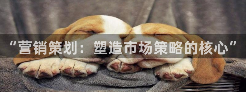 必赢国际437官方：“营销策划