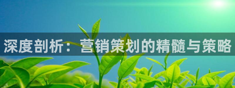 必赢集团winex：深度剖析：