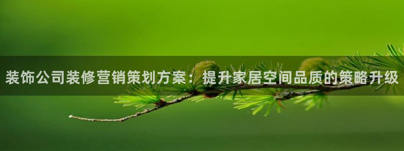 必赢集团菲律宾：装饰公司装修营